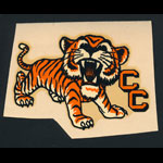 Colorado College Decal