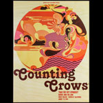 Steve Wilson Counting Crows Poster