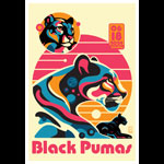Scrojo Black Pumas Poster